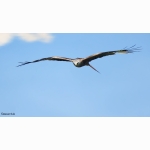 20220614 RM 04 1 DSC08503.jpg